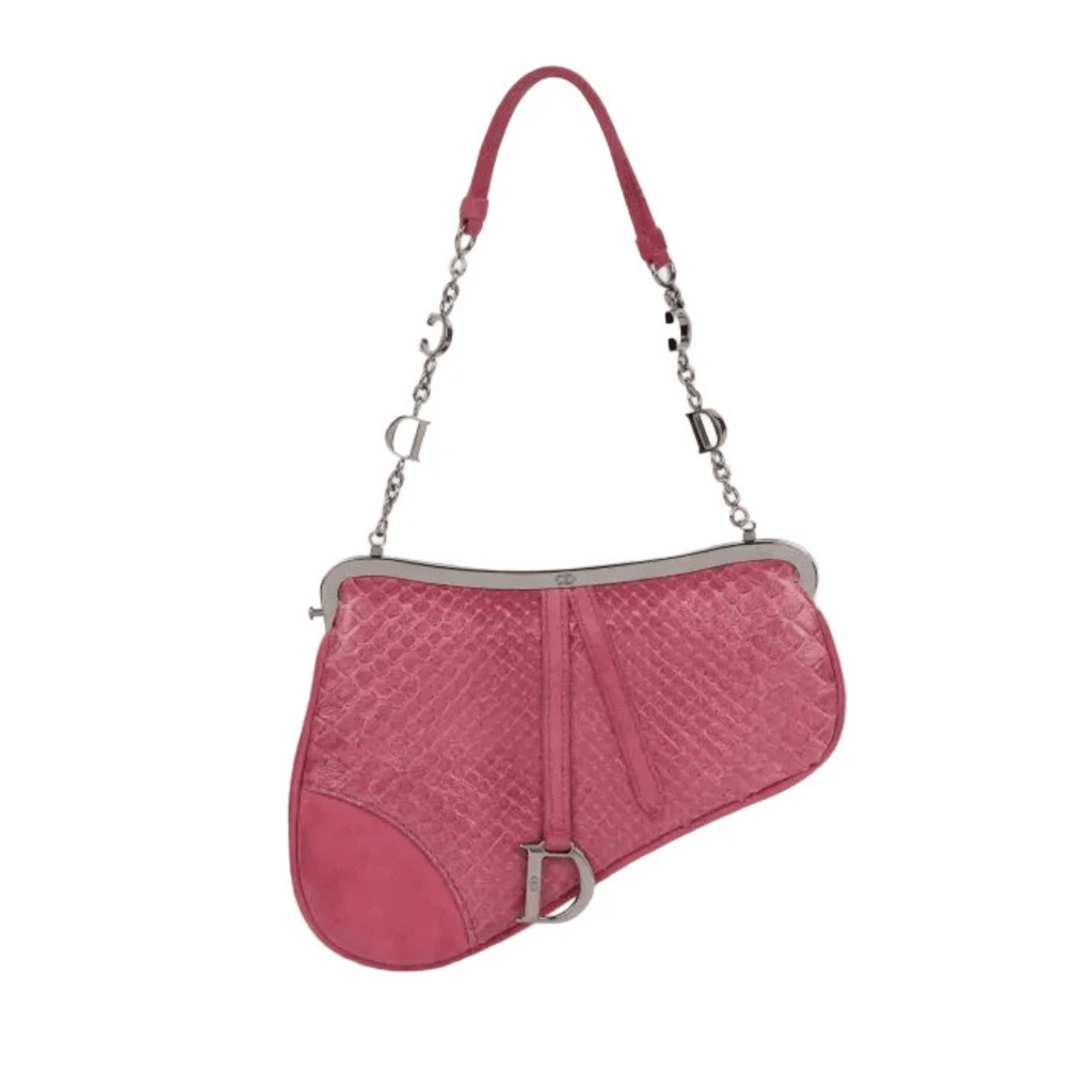 Dior Saddle Python-Embossed Leather and Suede Trim