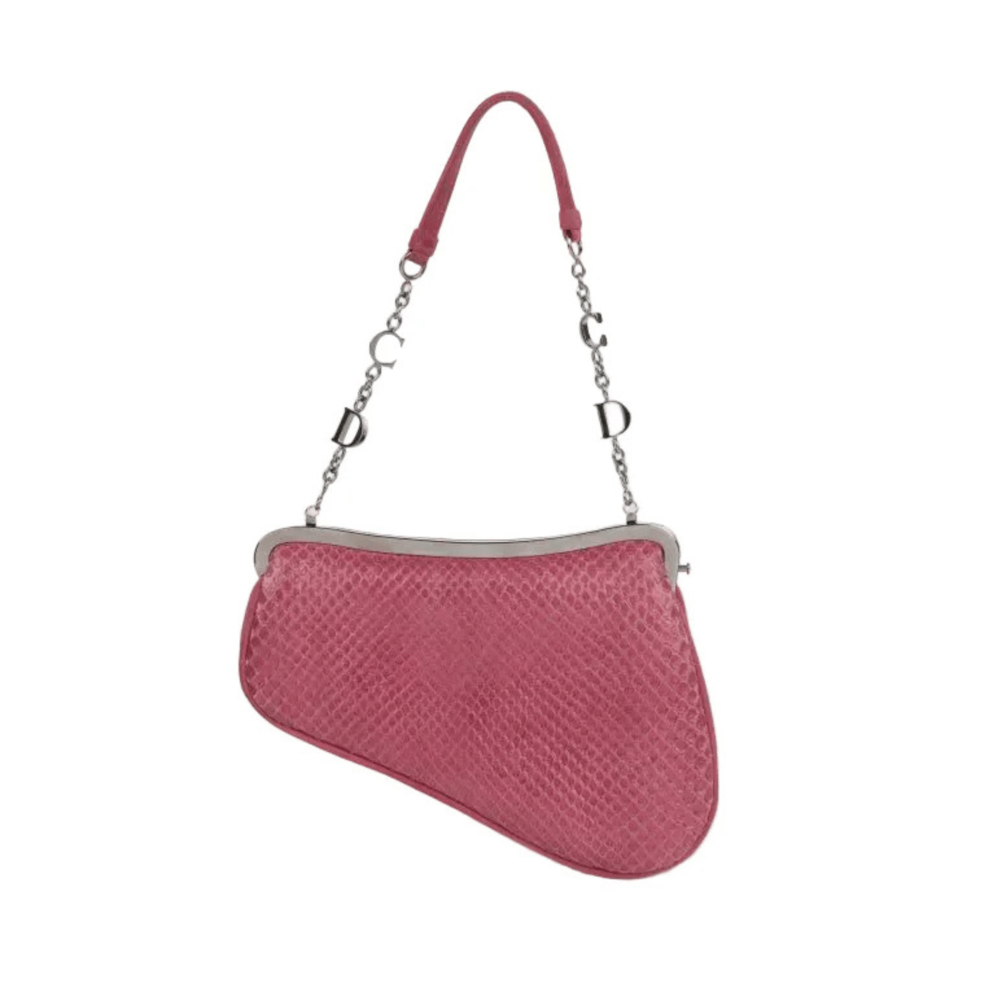 Dior Saddle Python-Embossed Leather and Suede Trim