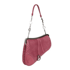Dior Saddle Python-Embossed Leather and Suede Trim